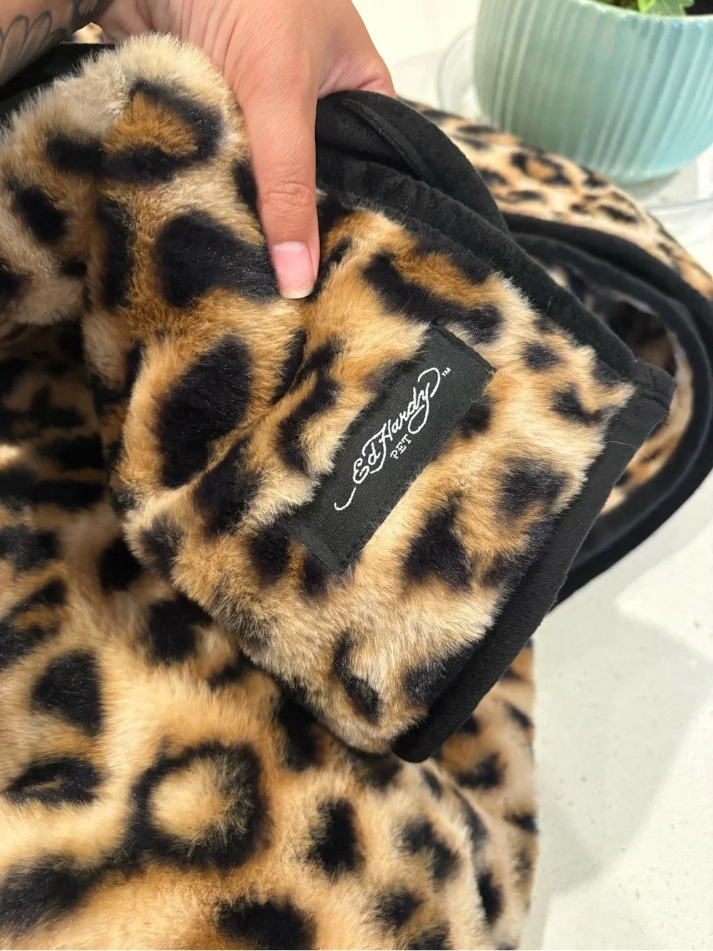 Ed Hardy ed hardy